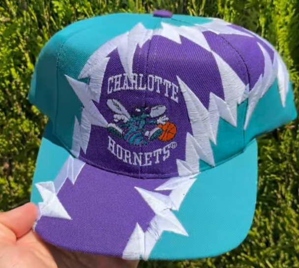 Charlotte Hornets The Game Vintage Hat